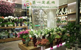 天津市武清区南蔡村镇南蔡村东附近花店订花送花