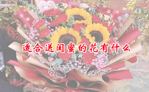 适合送闺蜜的花有什么