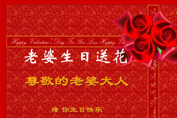 老婆生日送花可以选择什么花