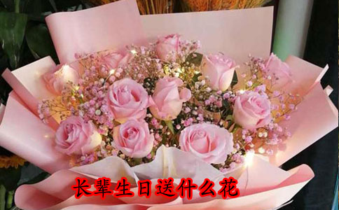 长辈生日送什么花