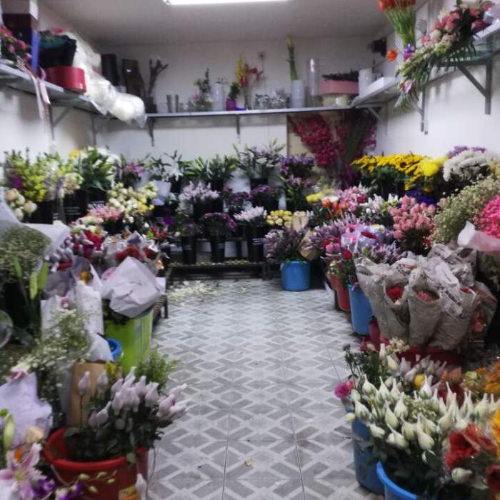 北京花店