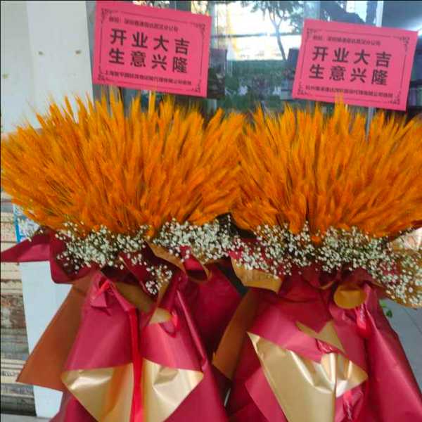 ʵ�Ĵ�����