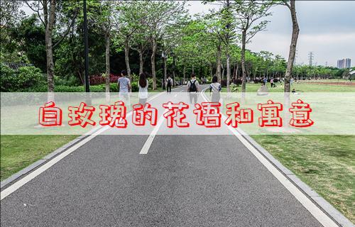 ��õ��Ļ����Ԣ��