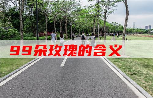 99��õ��ĺ�����ʲô