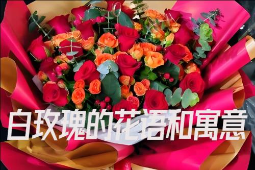 ��õ��Ļ����Ԣ��