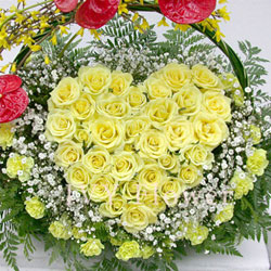 30枝黄玫瑰/留在我心里