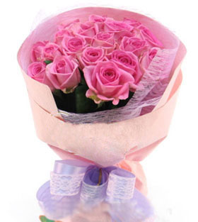 22枝粉玫瑰/爱相随