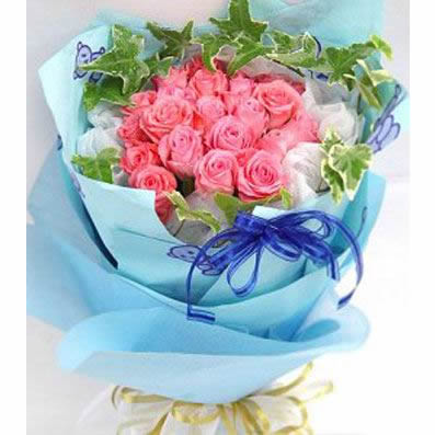 22枝粉玫瑰/梦想成真