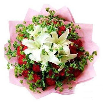 22枝红玫瑰/美丽的希望