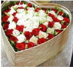 66支玫瑰/我心不变