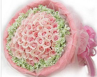 66支粉色玫瑰/不变的爱