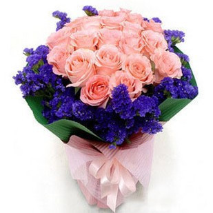 21朵粉玫瑰+勿忘我/芳华