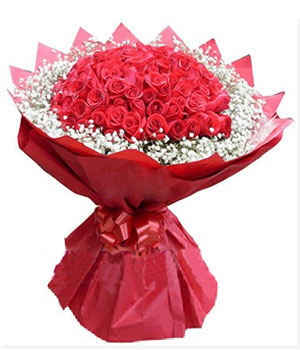 66枝红玫瑰/情相依