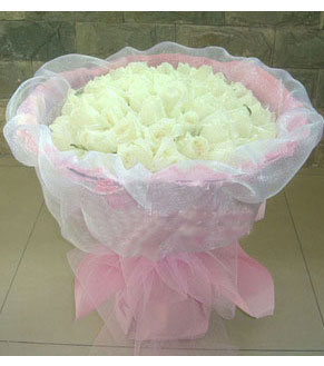 66朵白玫瑰/风花雪月