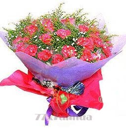 您辛苦了/29枝康乃馨