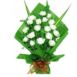 18朵白玫瑰/淡雅