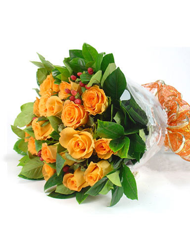 21枝香槟玫/风筝