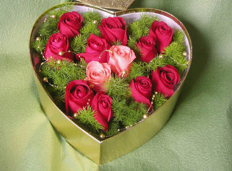 对你的爱与日俱增