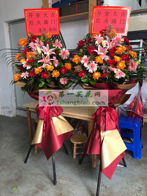 廊坊大城县花店材料：30各色太阳花，2支多头粉色 栀子叶 散尾叶等  数量：2个 		