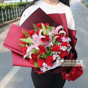 廊坊香河县花店材料：19朵大朵红色康乃馨，3支粉色百合。相思梅丰满  包装：多层红色平面纸扇形包装。 						 		
