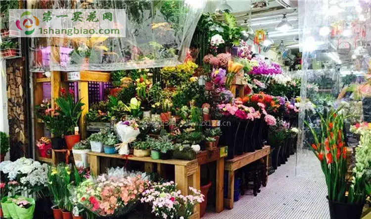 天津和平区花店
